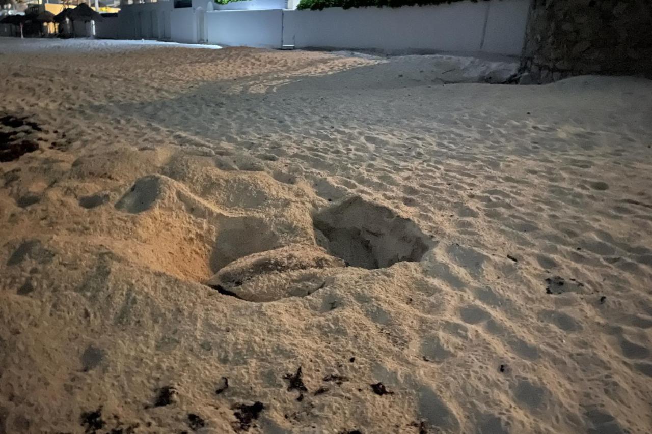 Apartamento Beach, Fun & Relax At The Zone In Cancún
