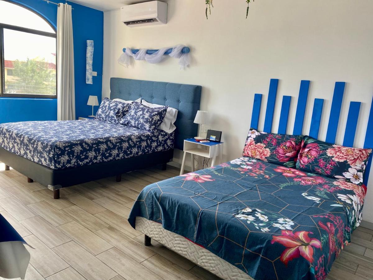 Tropical Apartment Cancun