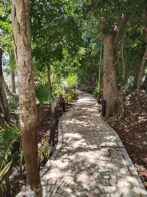 Apartamento Hermoso Departamento En Con Alberca Cancún