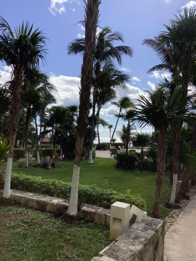 Beachaccess Hotelzone 3705 Cancún