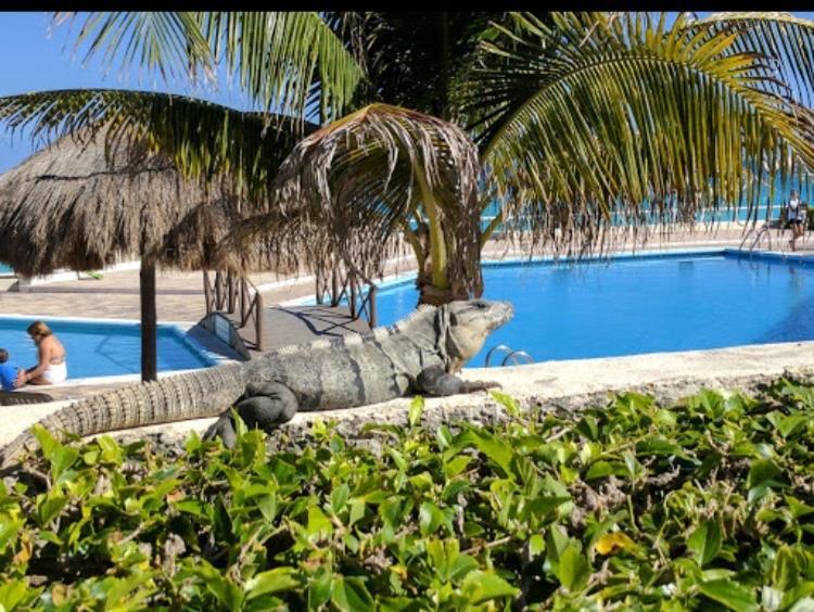 Brisas Apartamento