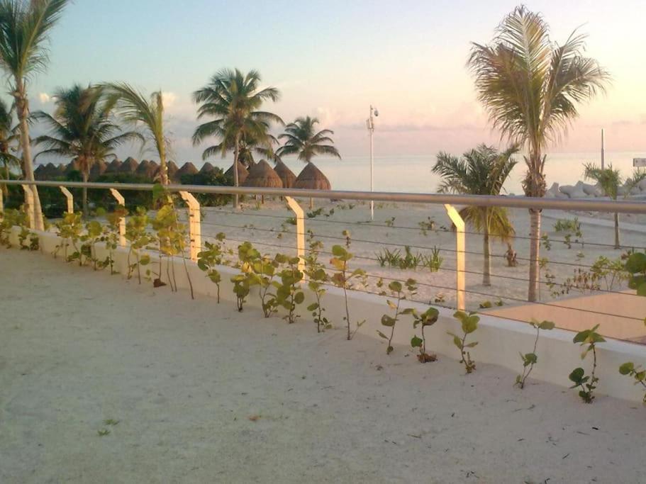 La Amada Residences. Apartamento Cancún