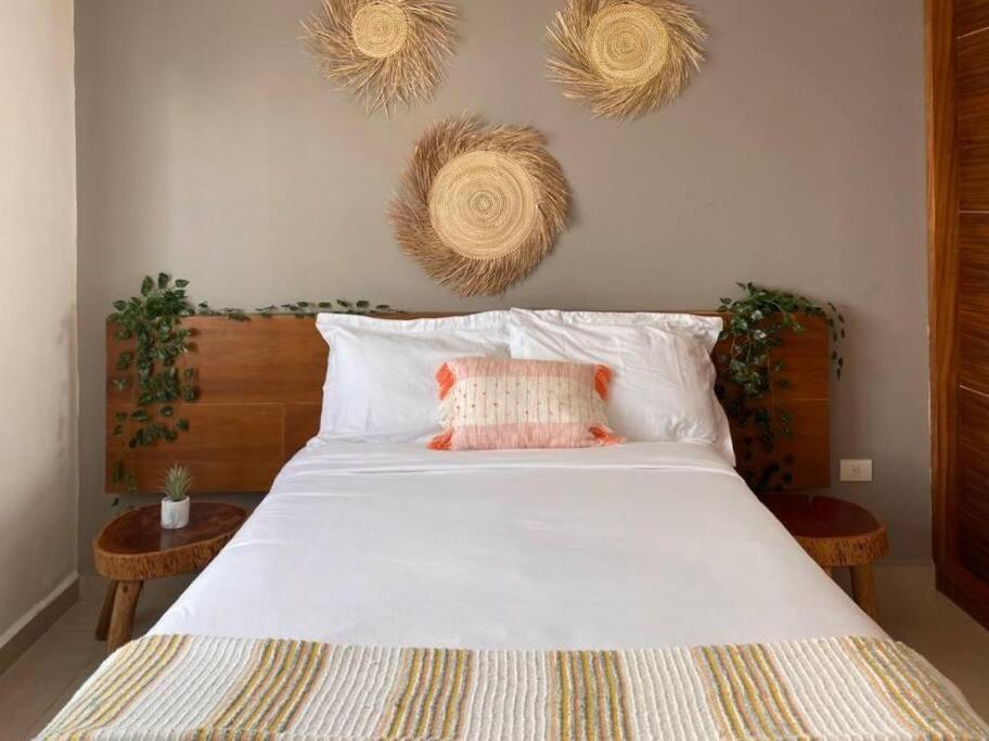 Altus Homes By Andiani Travel * Cancun