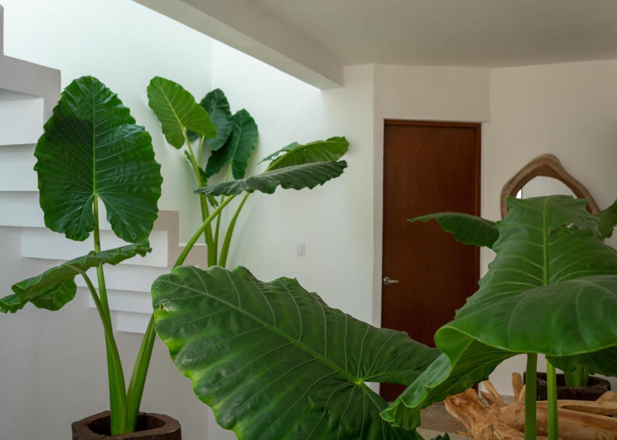 Apartamento Recamara 5 Tulum Cancún