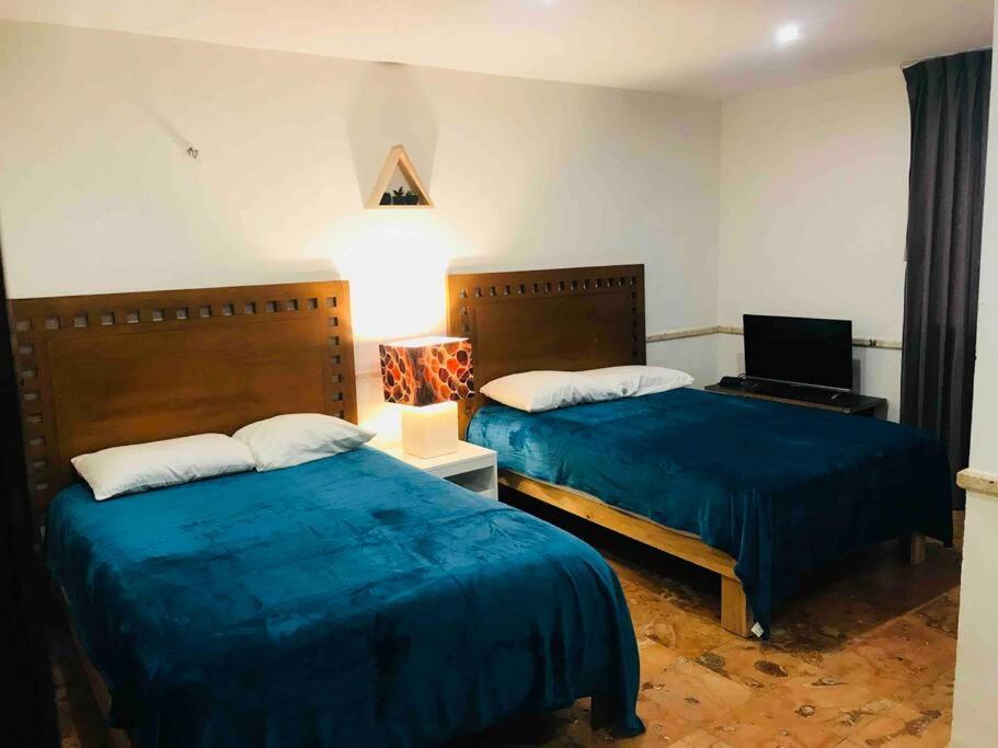 Comfortable And Apartamento Cancún