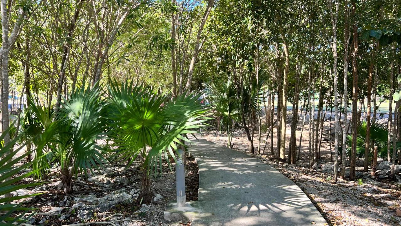 Kingulingu's Apartament