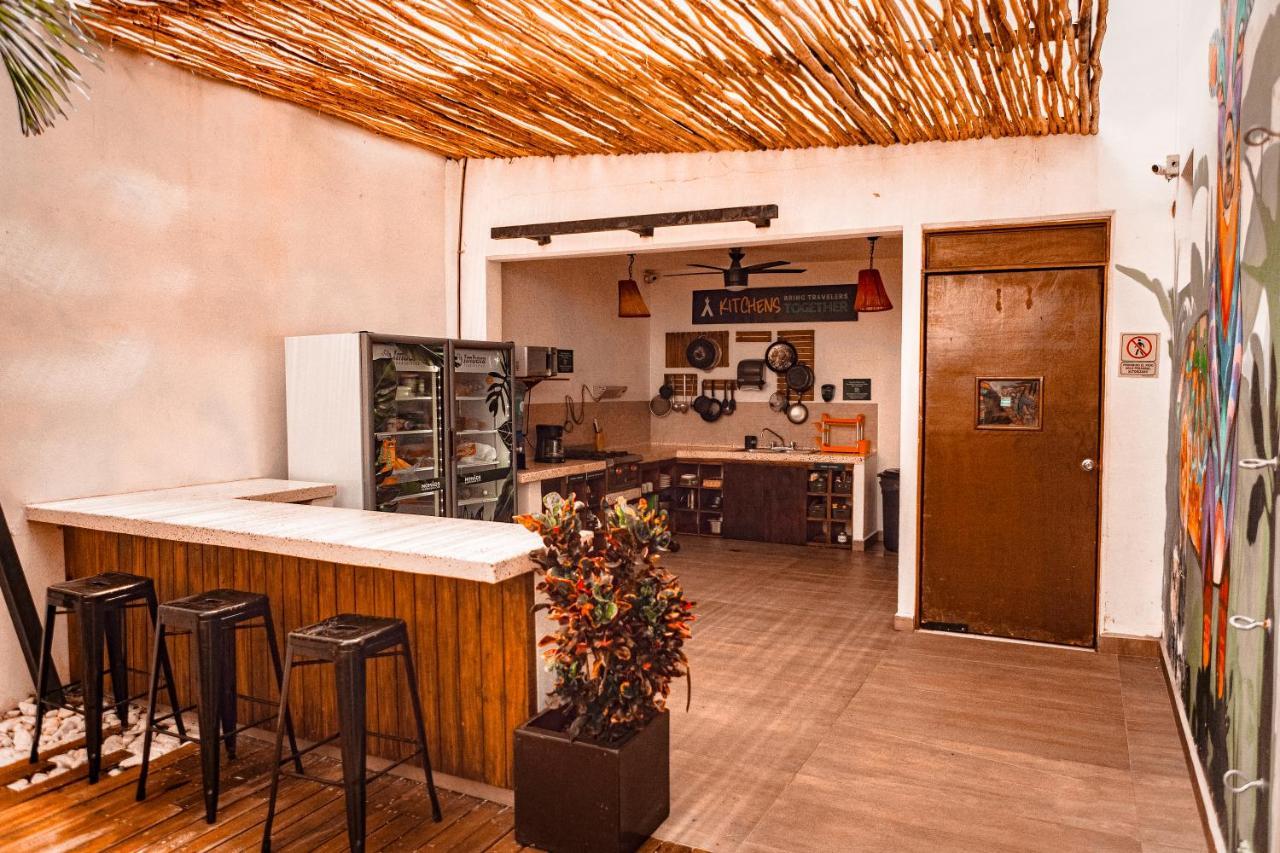 Nomads & Rooftop Pool Hostal