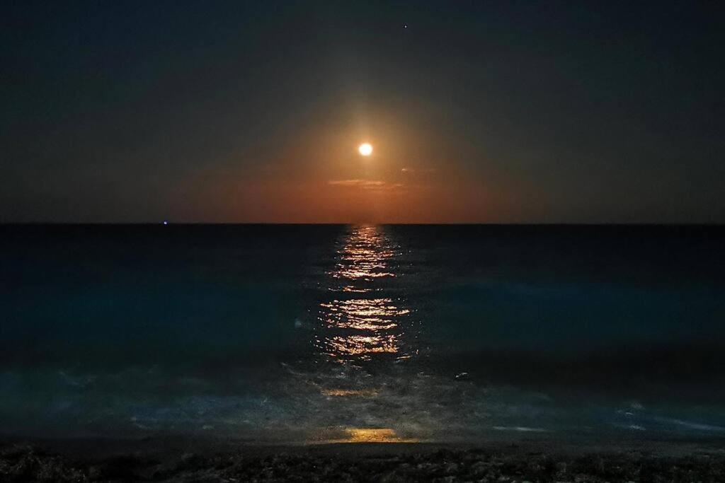 Aurora Beautiful Beachfront *