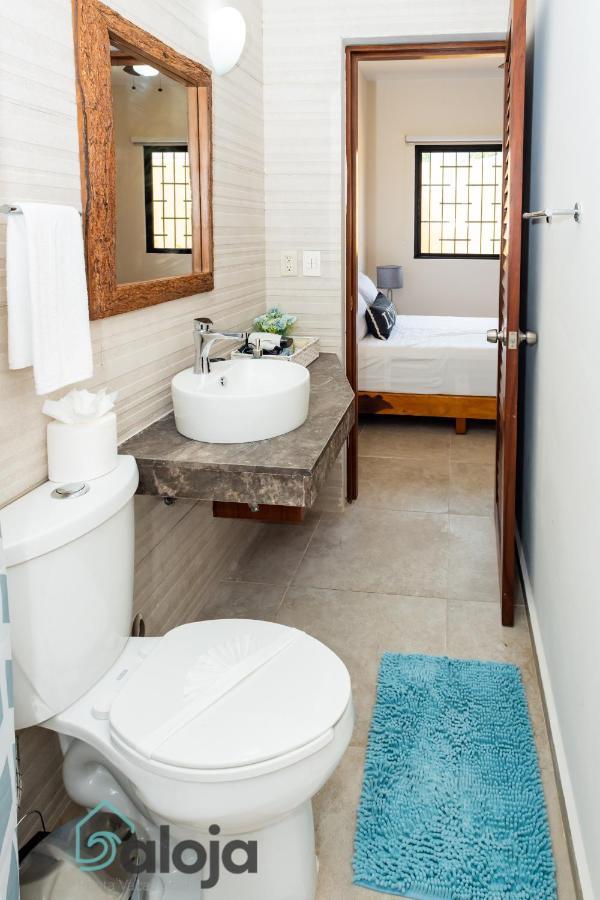 Apartamento Ideal Estudios Calidos Y Acogedores *