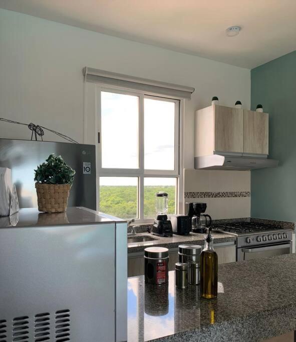 Departamento Moderno Con Vista A La Laguna En Dream Lagoons Apartment *