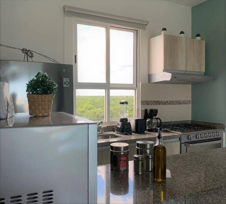 Apartment Departamento Moderno Con Vista A La Laguna En Dream Lagoons