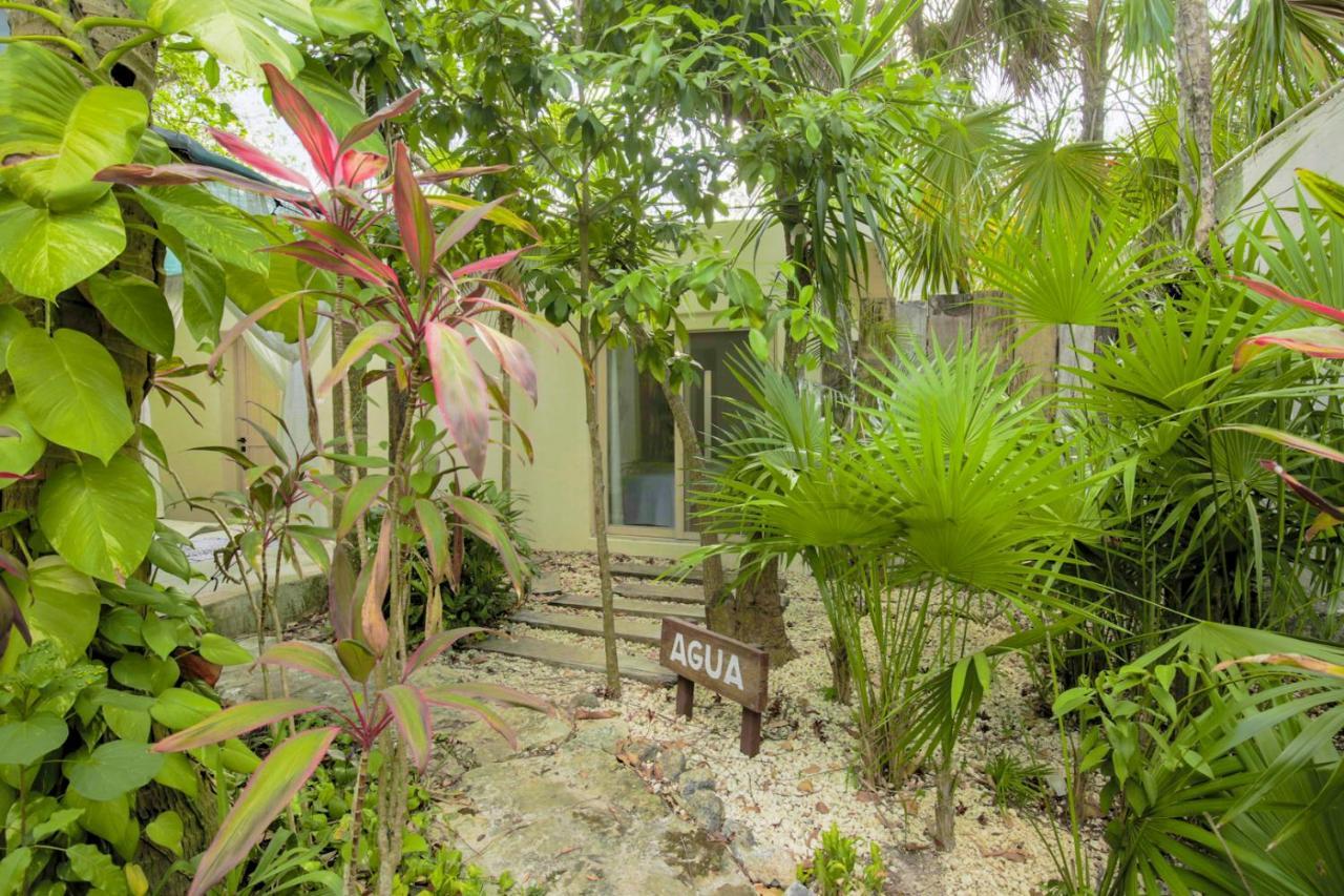 Oma - Holistic Healing Center Apartment Cancun