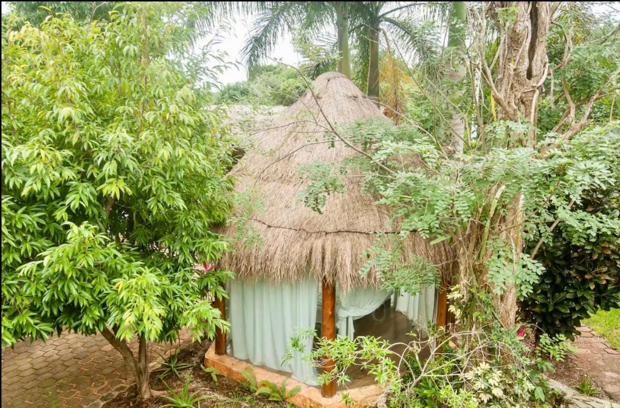 Oma - Holistic Healing Center *