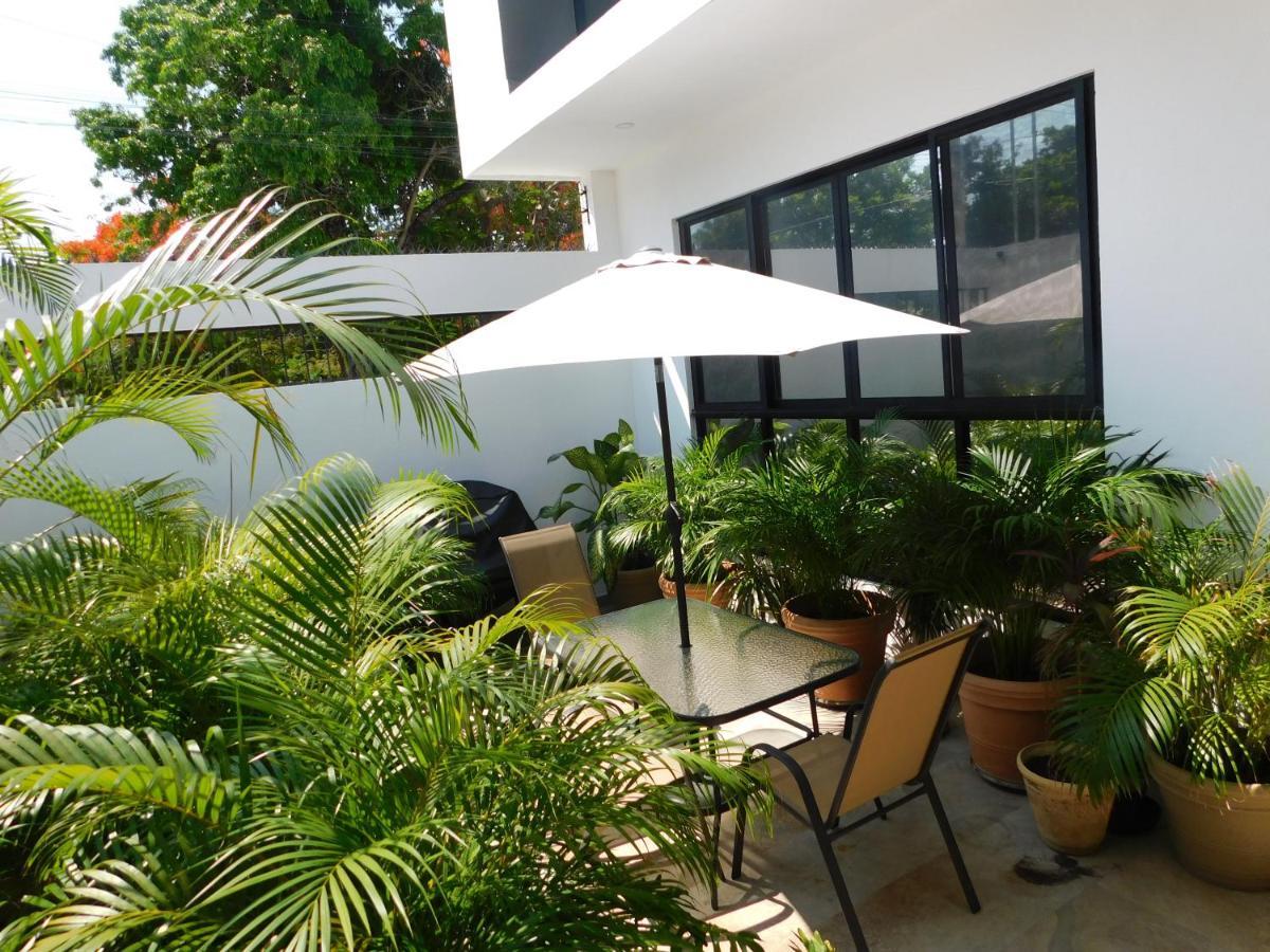 Apartamento Oasis Urban Retreat