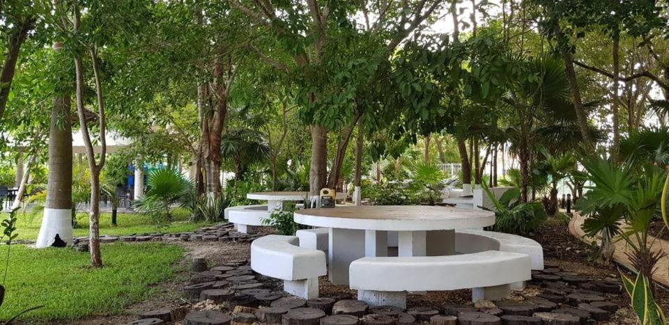Casa Laura Y Campa Cancún