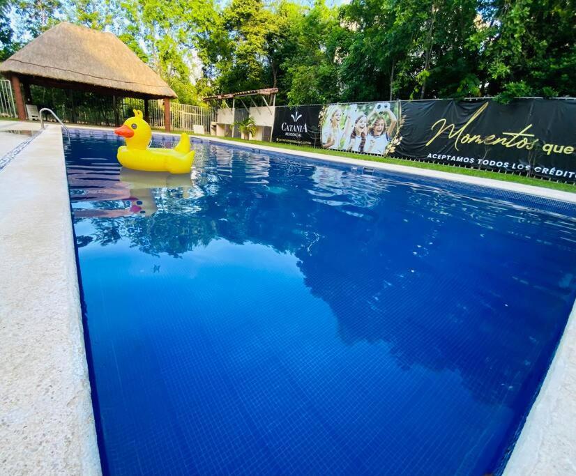 Beautiful Swimming Pool And 5 Star Amenities