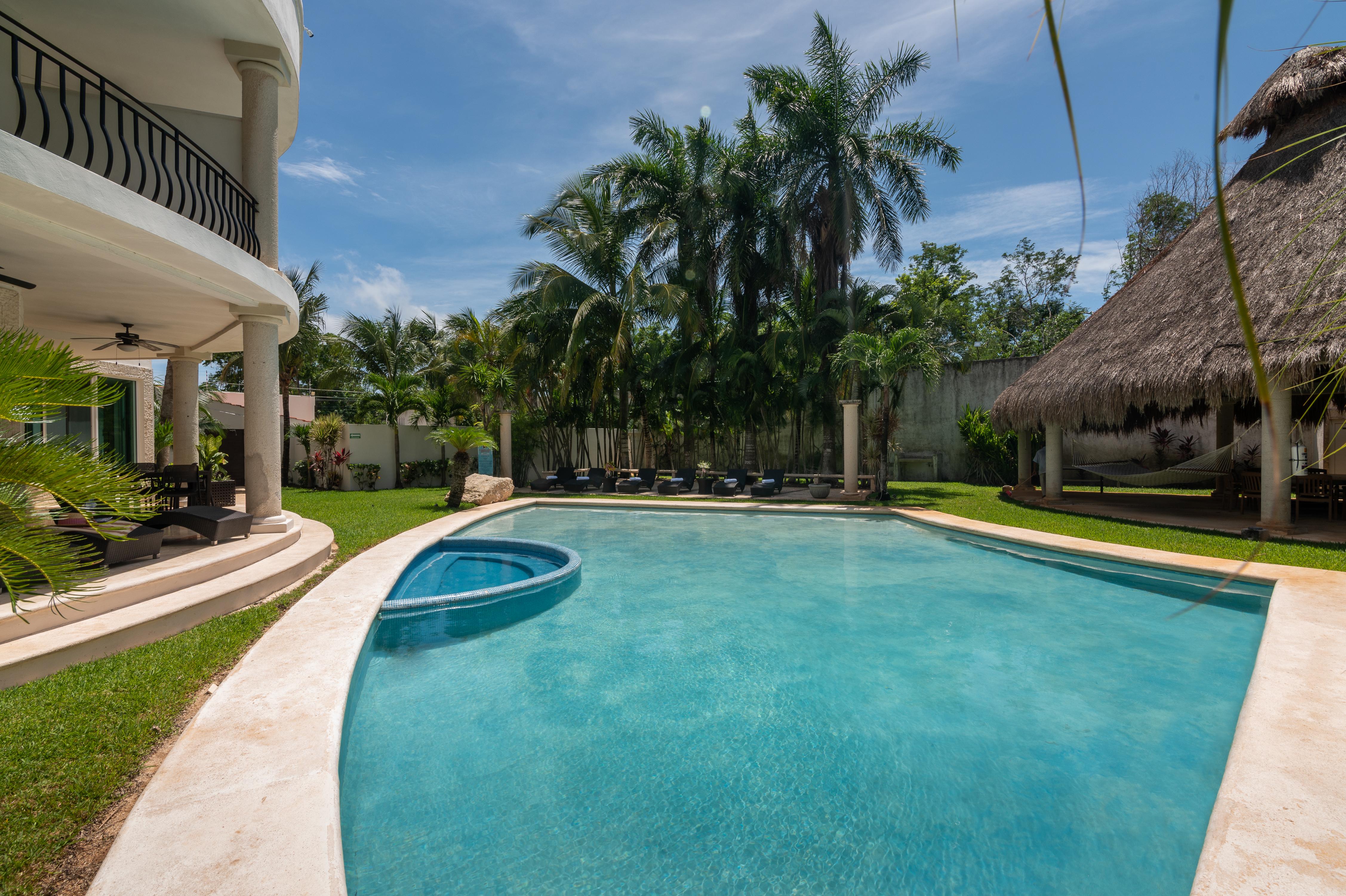 Palmeras