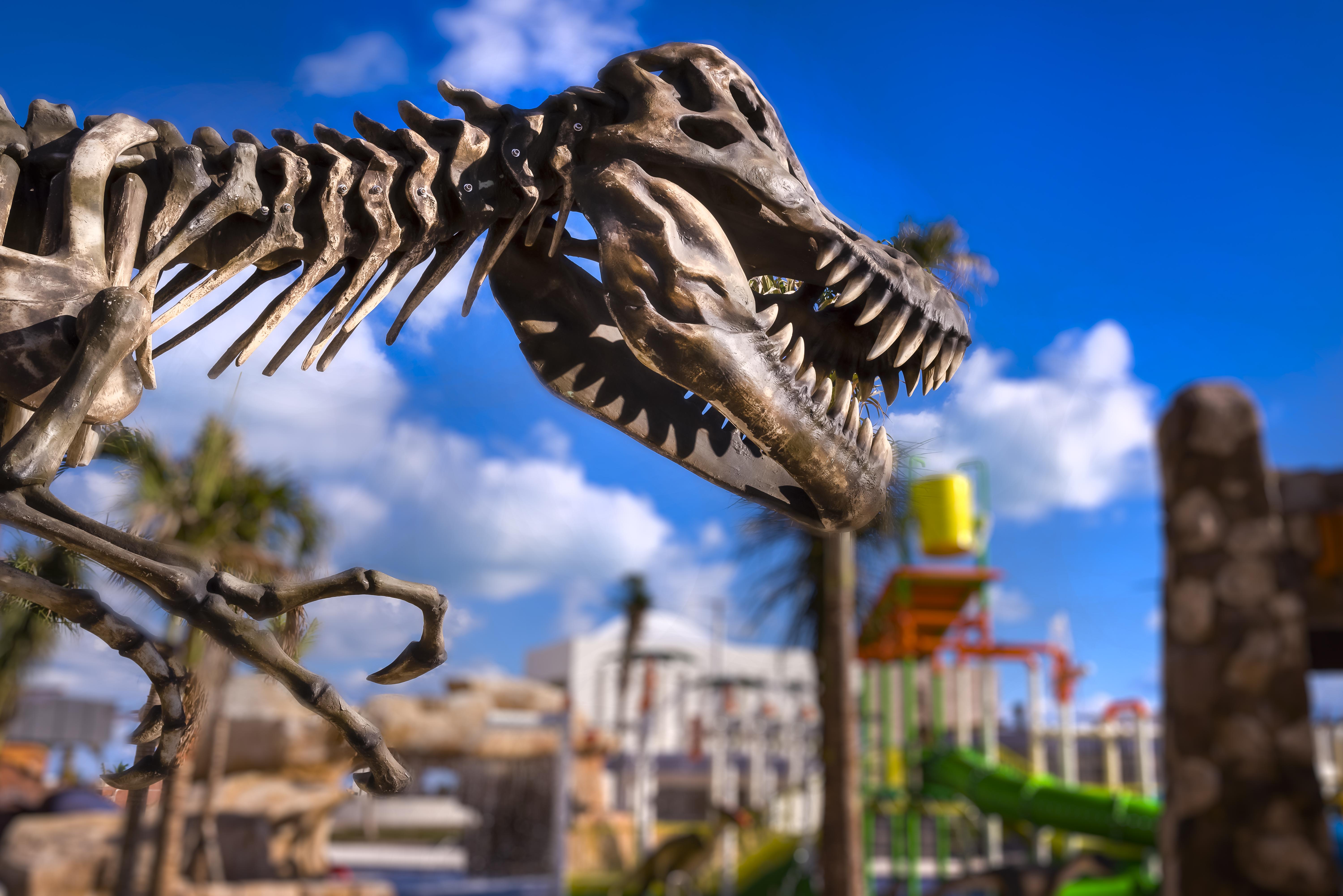 Planet Hollywood Cancun, An Autograph Collection (adults Only) 5* Cancún