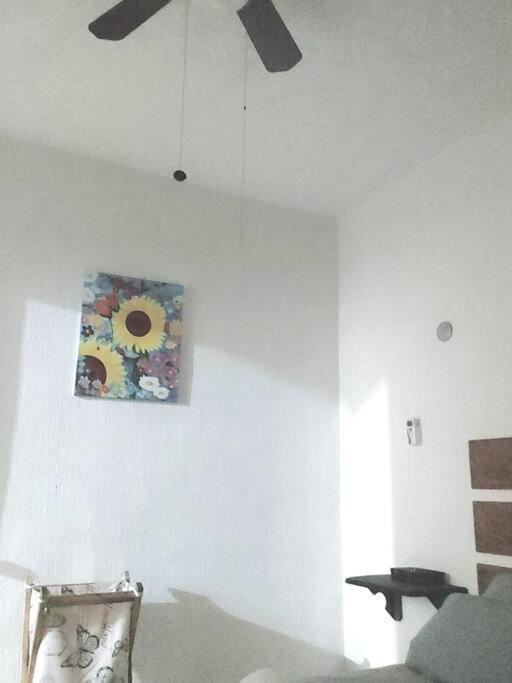 Depa Colibri Cancun, A/a Y Wi-fi, En Planta Baja. Cancún