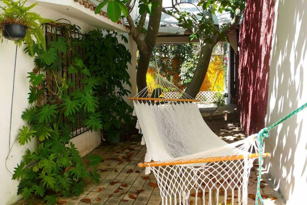 Tropical House In Downtown *