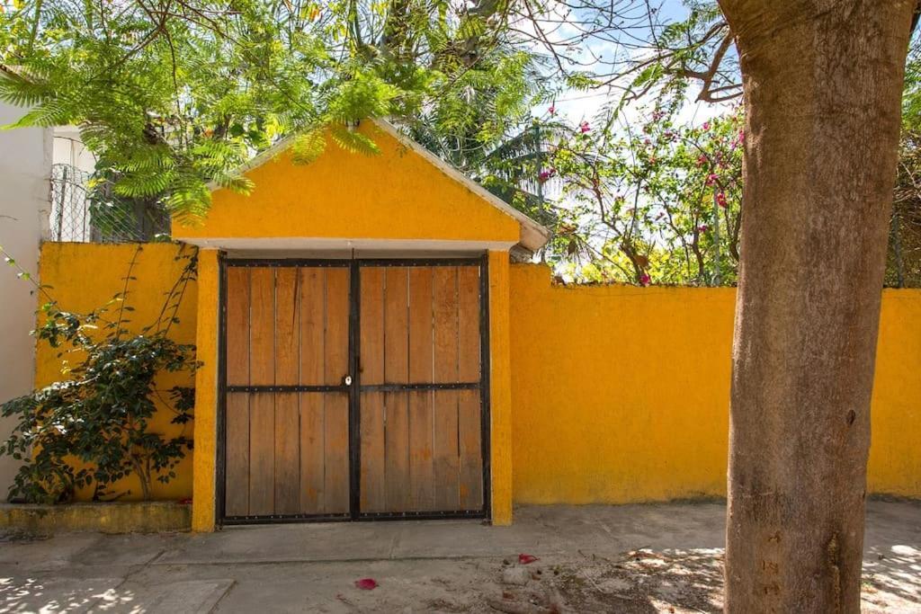 Tropical House In Downtown Cancún