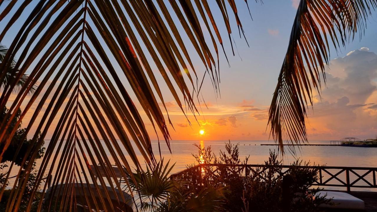 On The 2 - Seaside Sunrise Haven- Sea View * Cancún