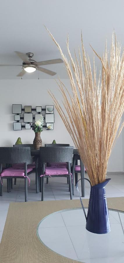 Apartamento Amara