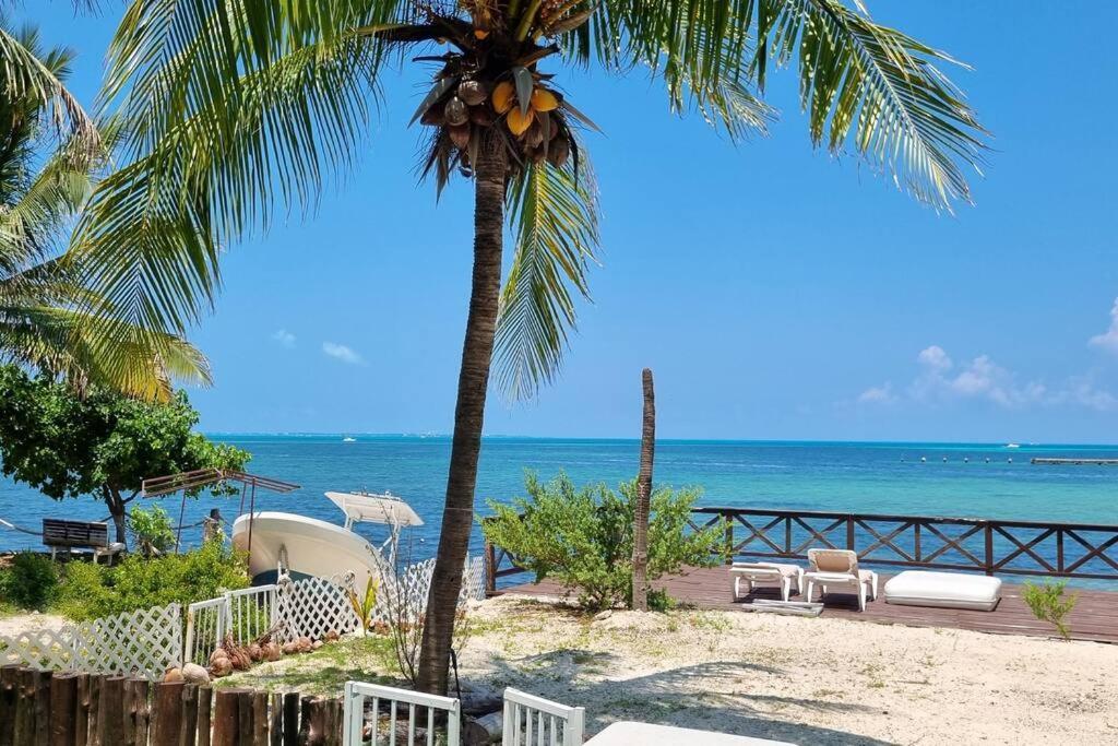 Yyy * Cancún