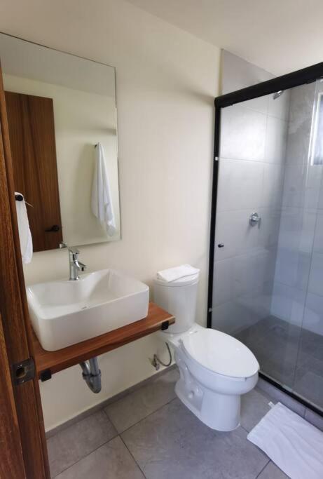 Hermoso Loft En #6 * Cancún
