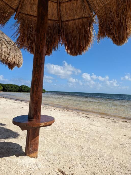 Peninsula Luxury With Ocean Front And Espectacular Views - No Pets