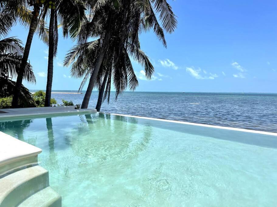 6br Modern Oceanfront With Infinity Pool By Solmar Cancun