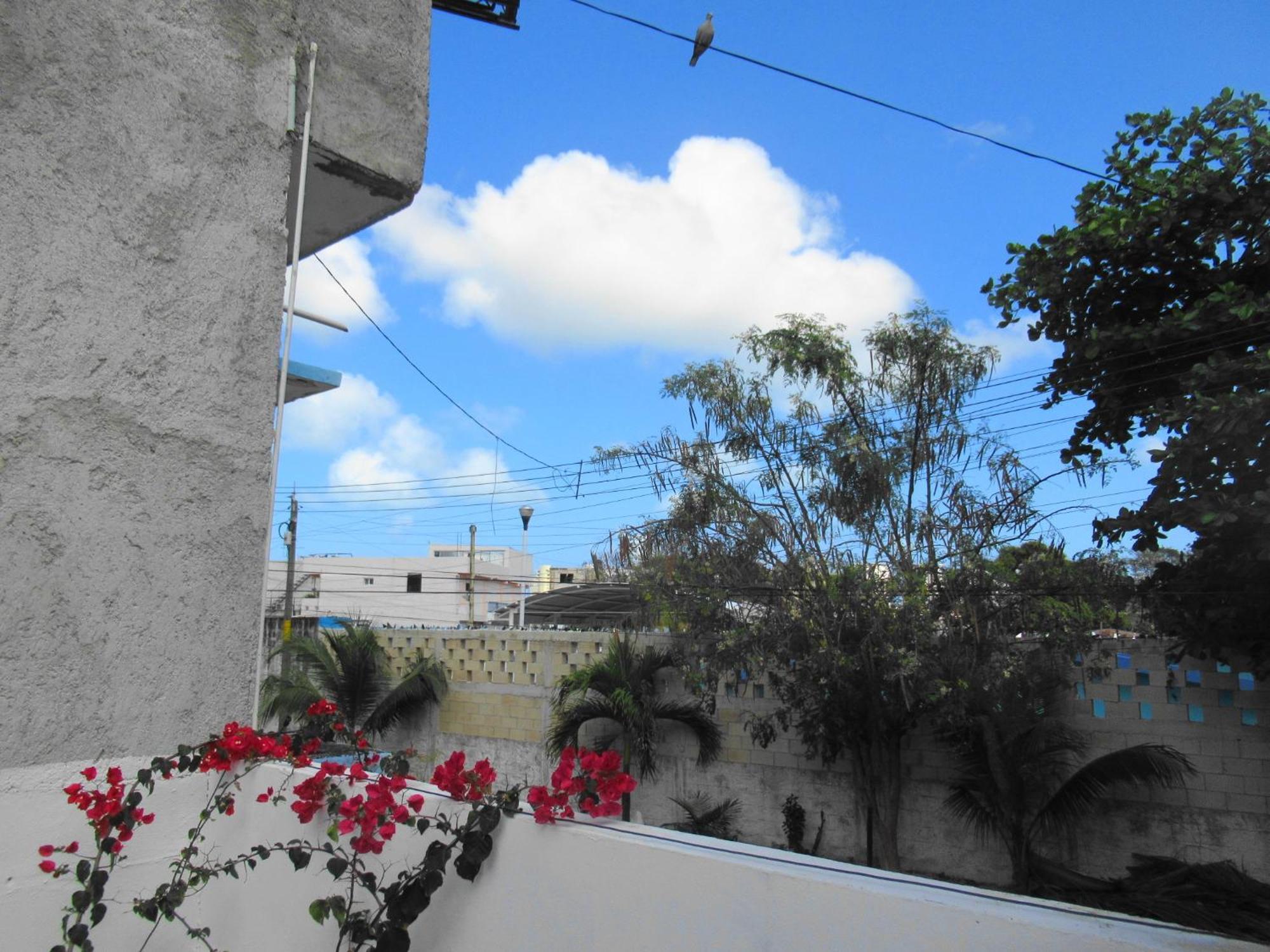 Cocos Apartamento