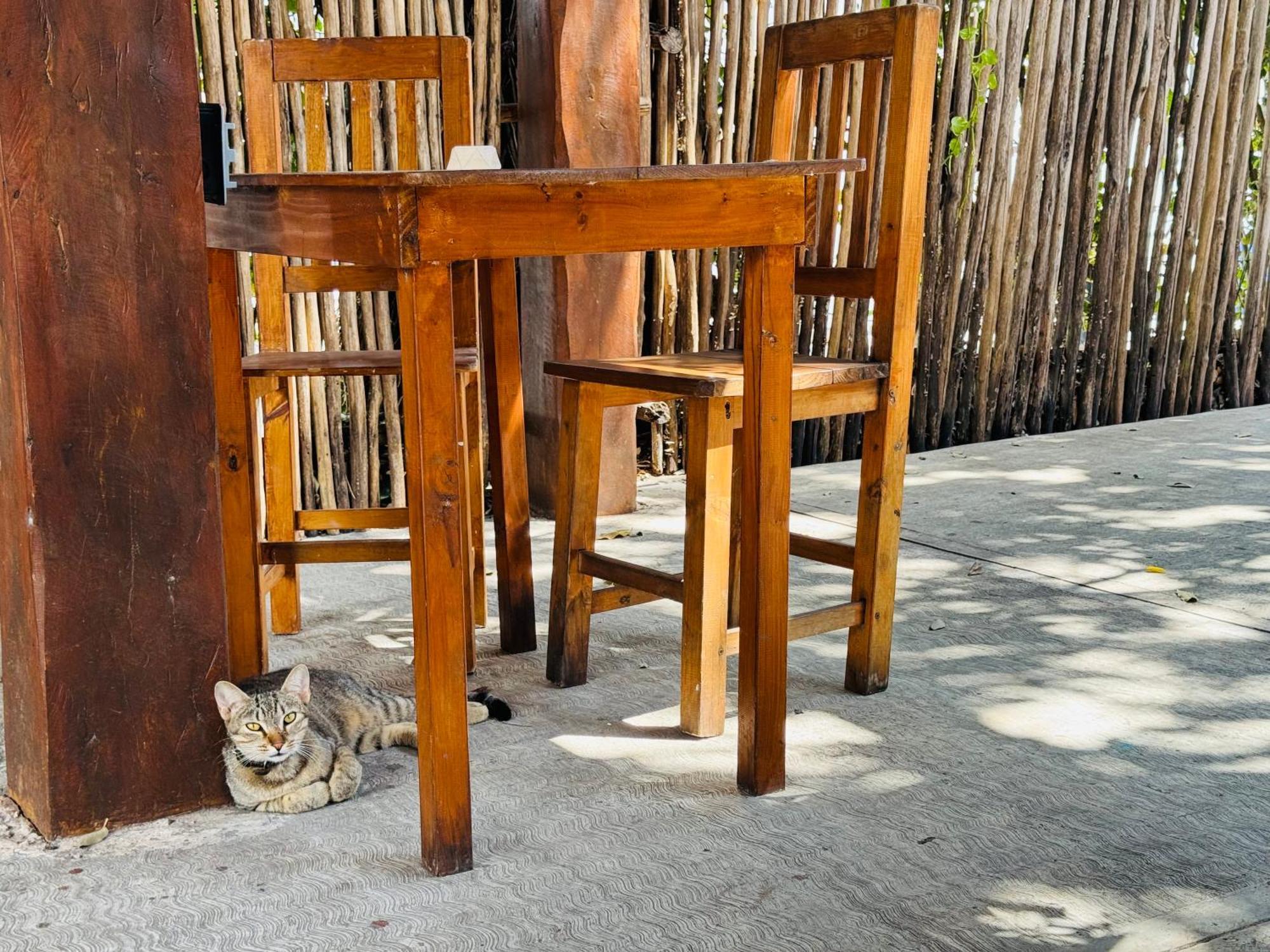 Ahava Boutique Hostel *
