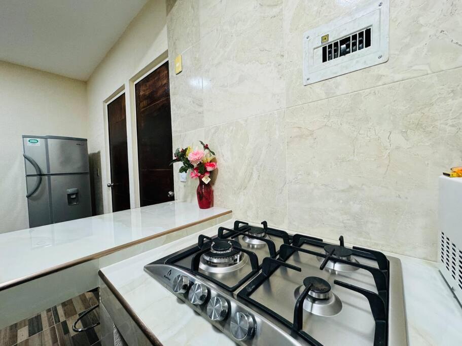 Apartamento Depa Con Alberca En Zona Privada *