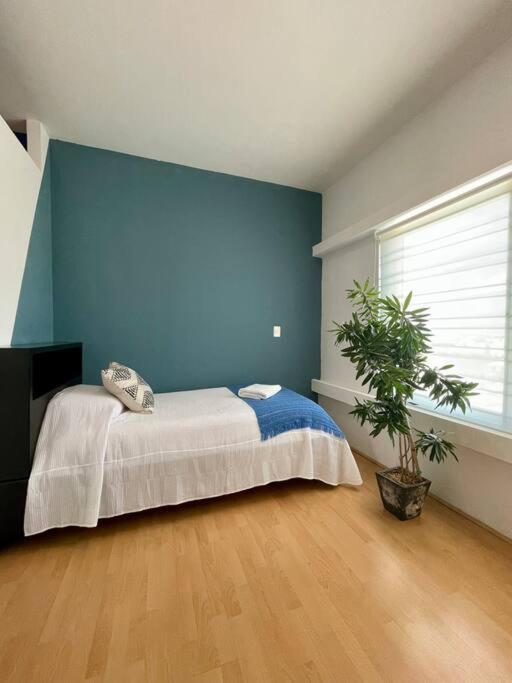 Coco Luxury Loft Apartamento