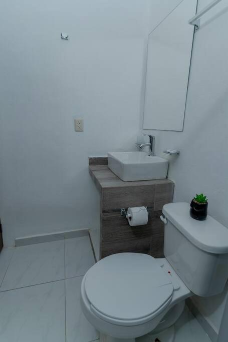 Autentico Estudio Confortable Y Centrico A/c Wifi Apartamento