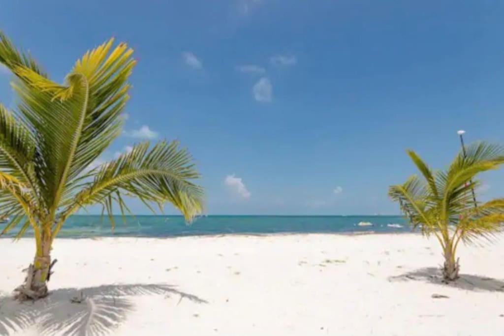 Apartamento Luxury Beachfront