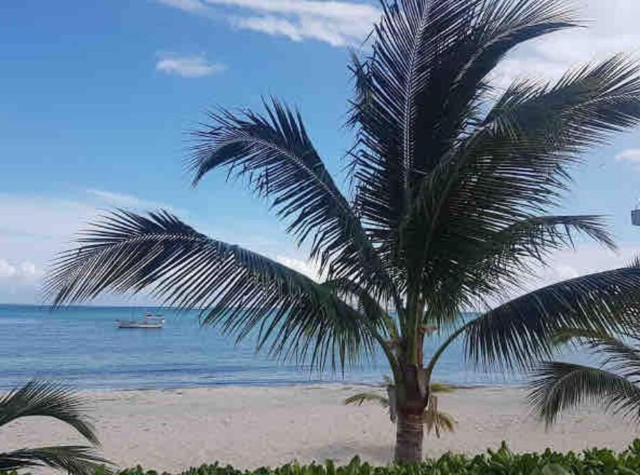 Apartamento Luxury Beachfront Amara