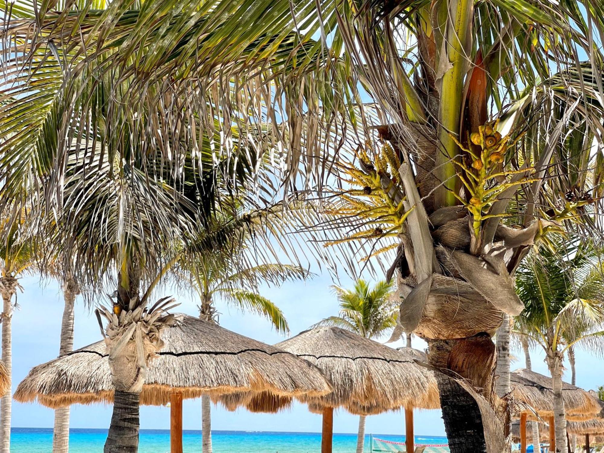 Beachfront With Pool & Stunning Views Cancún