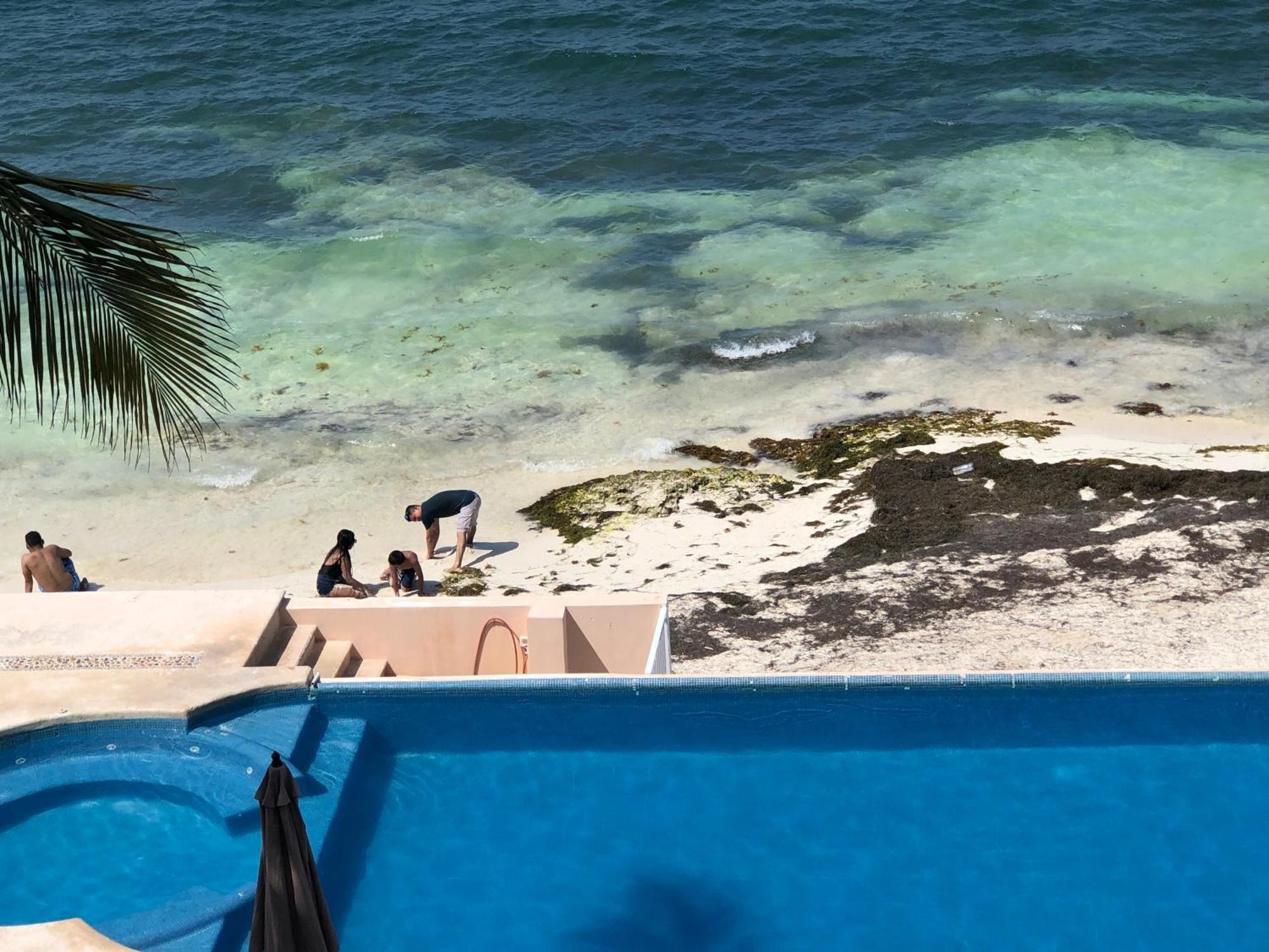 4br Beachfront Beautiful House By Solmar *