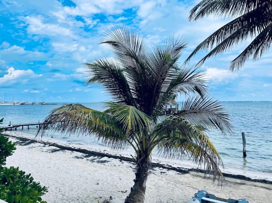 Punta Me With Sea View & Cancún