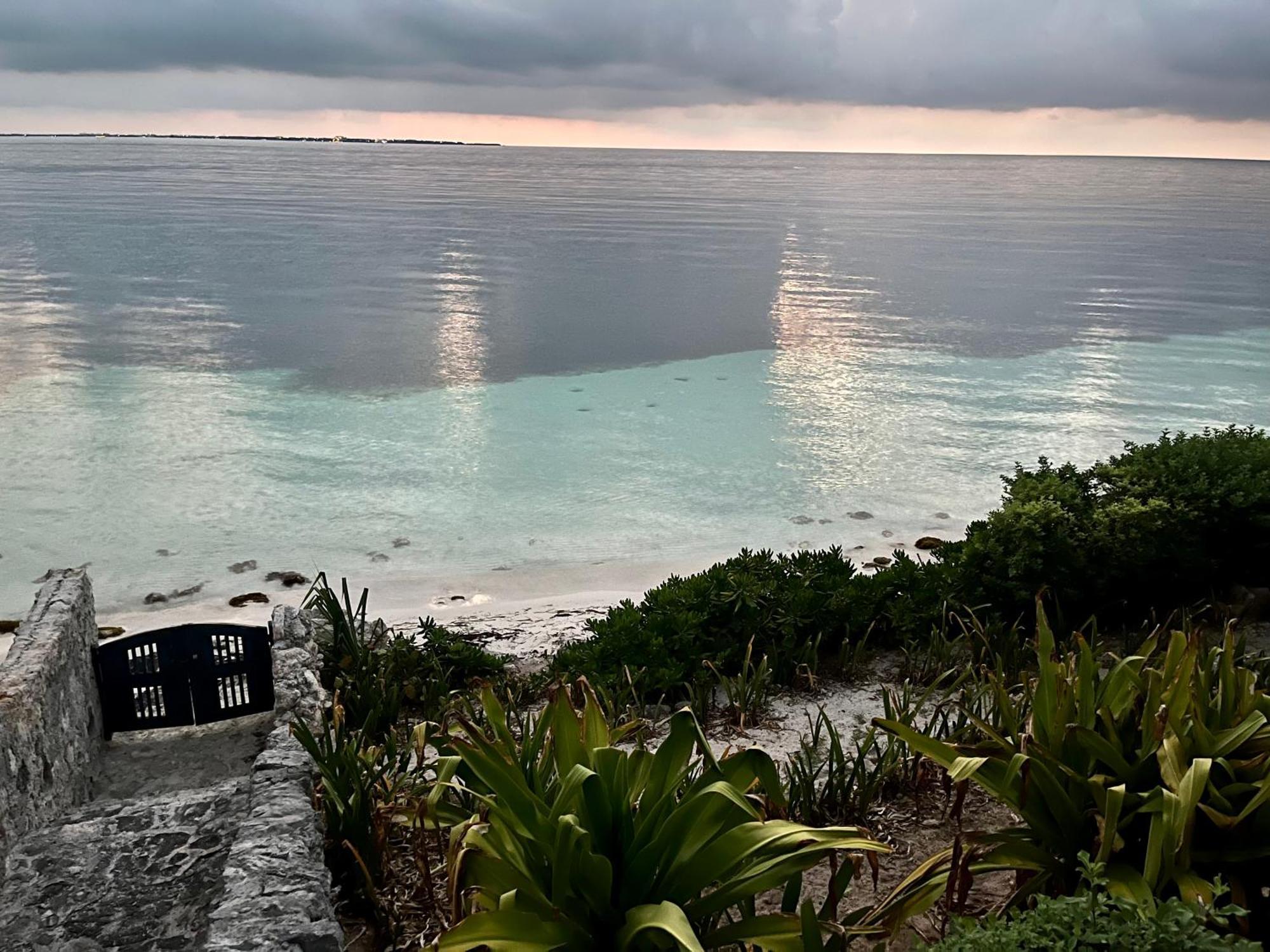 6br Exclusive Beachfront Retreat By Solmar Villa