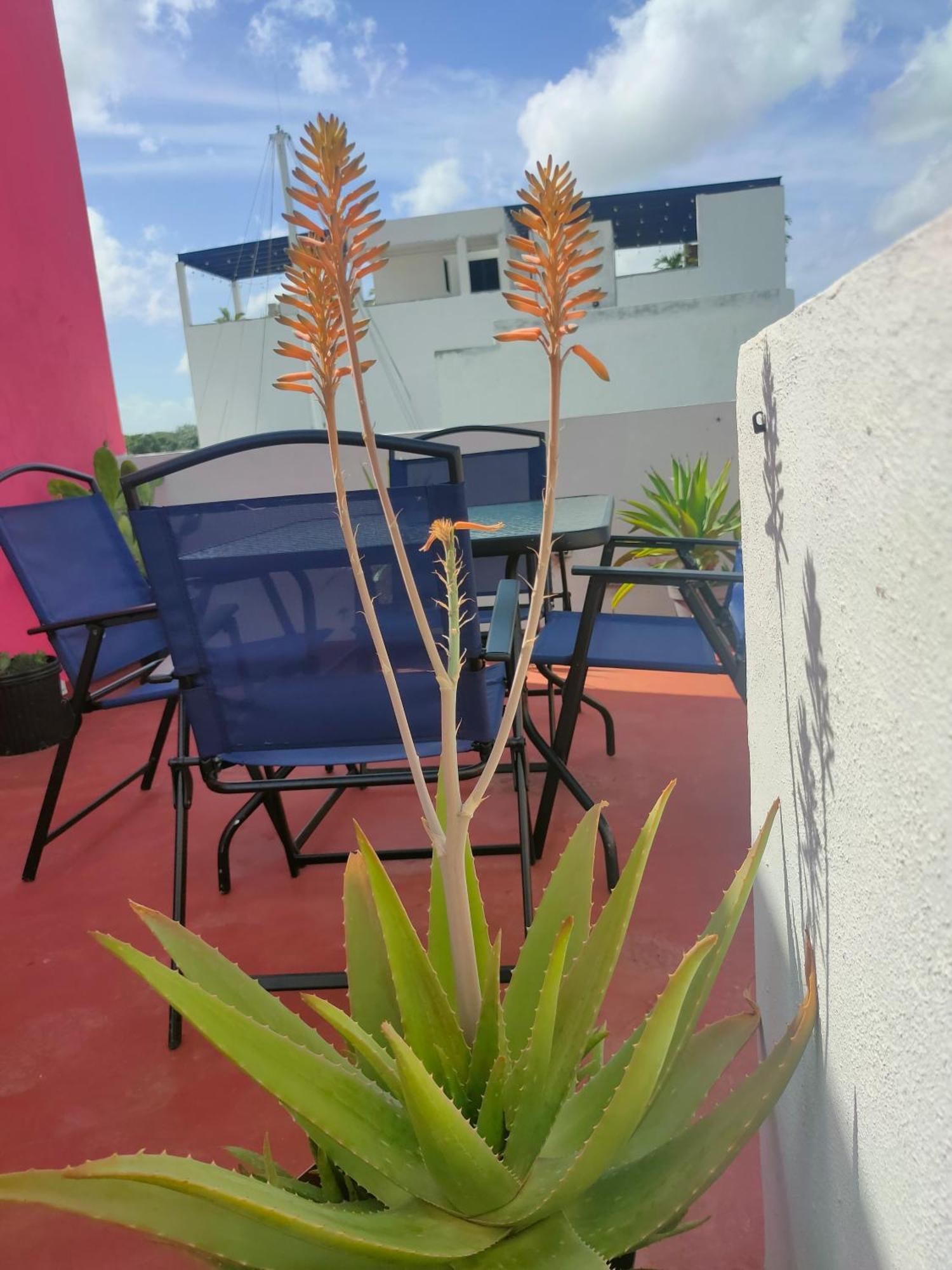 Casa Coraza * Cancún