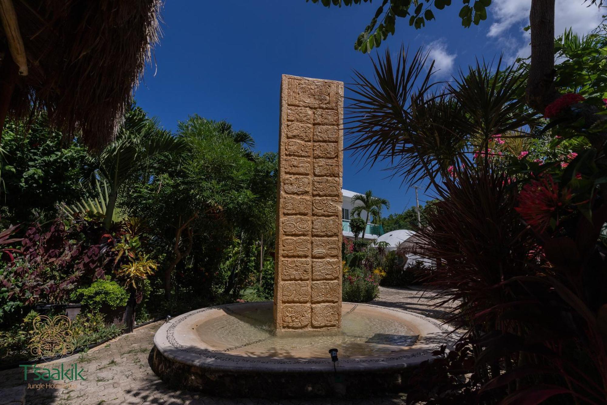 Tsaakik Jungle & Cancún