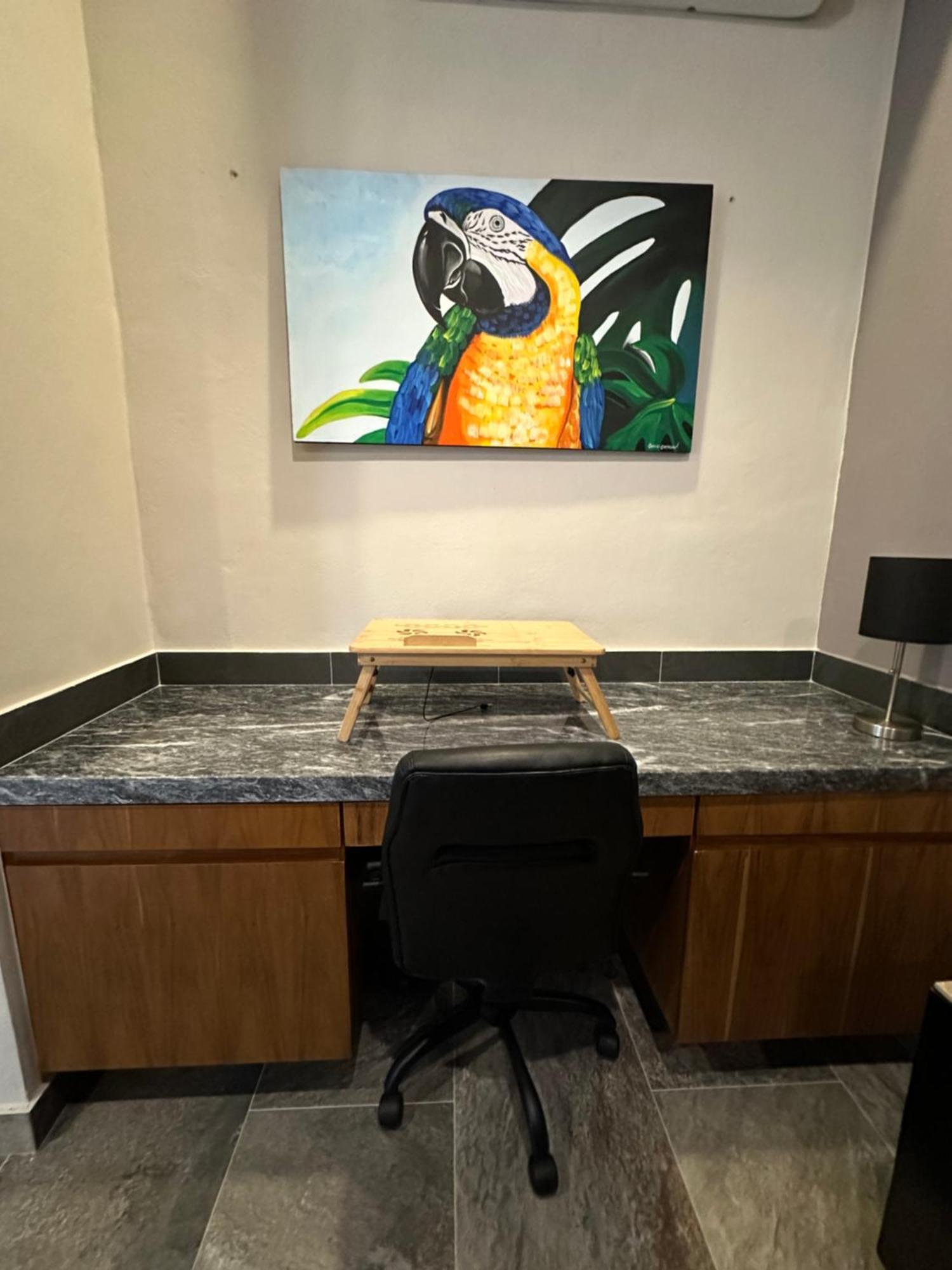 Oasis Urban Retreat Cancún