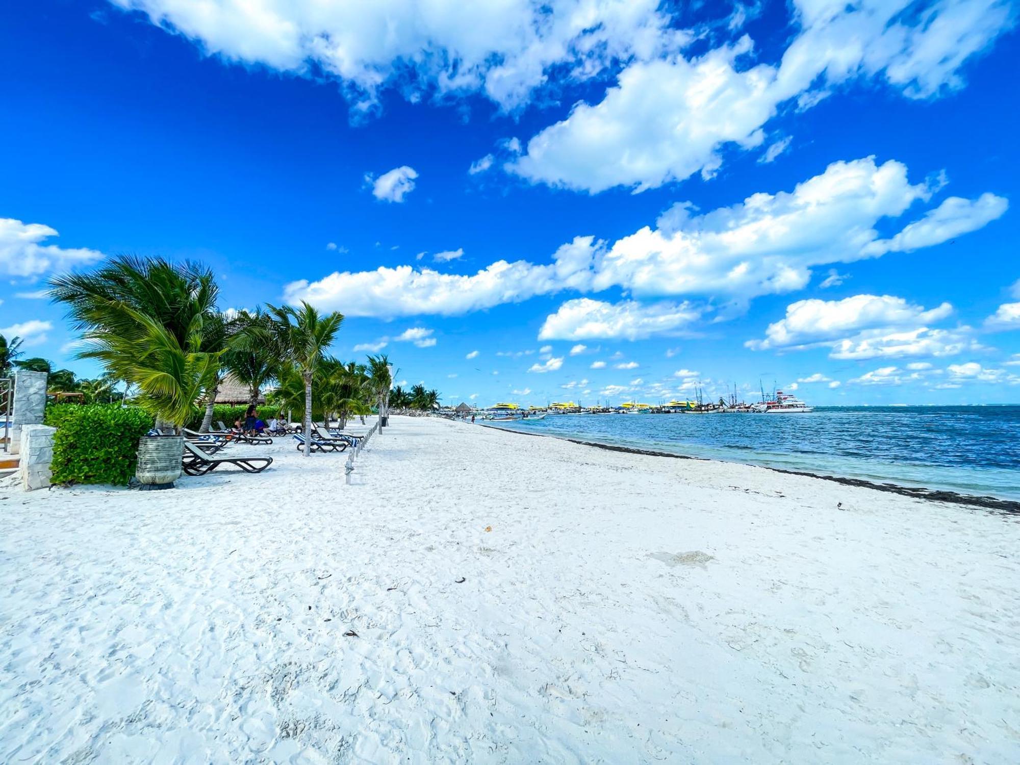 Apartamento New Beachfront Luxury