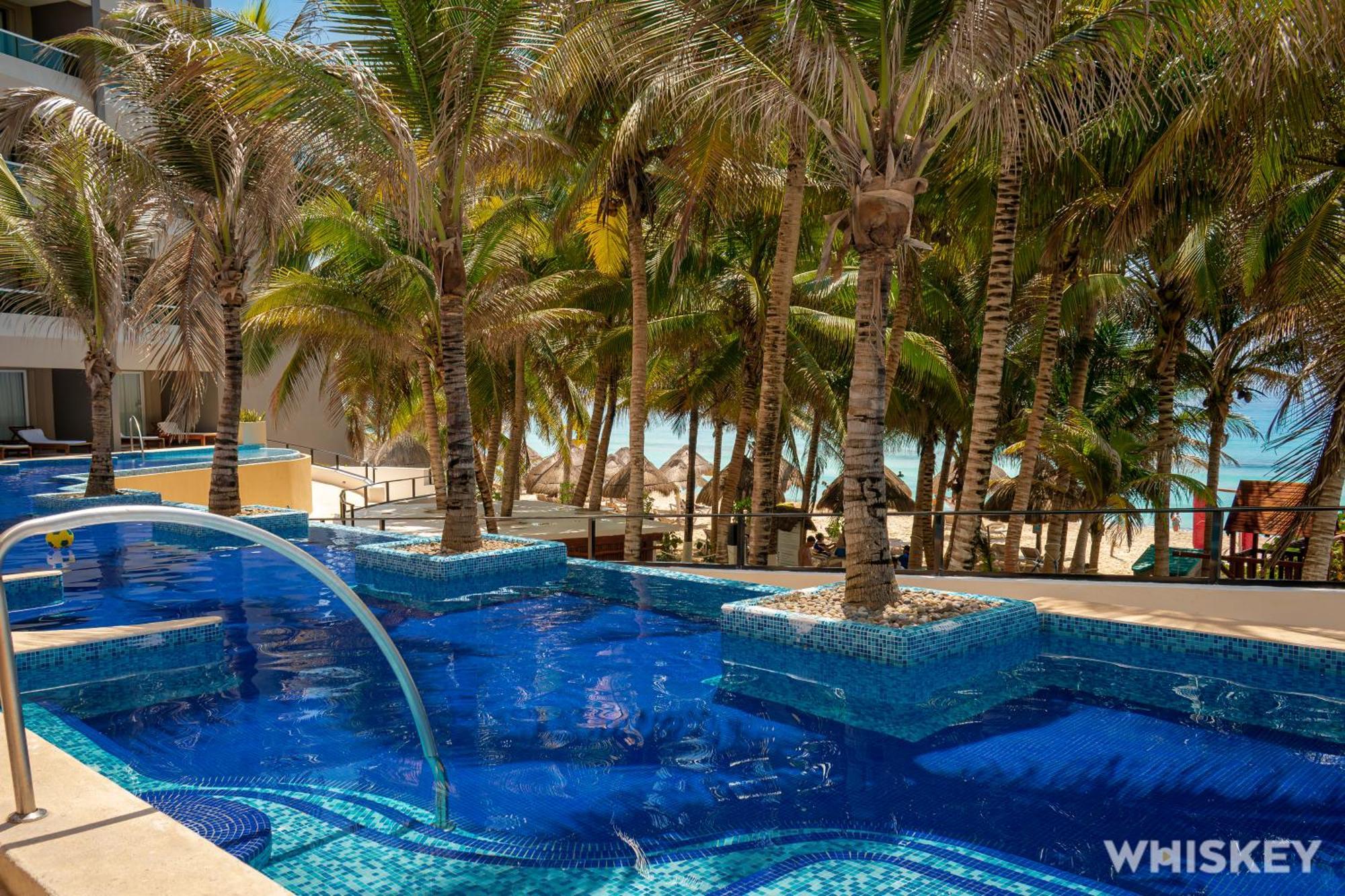 Flamingo Cancún