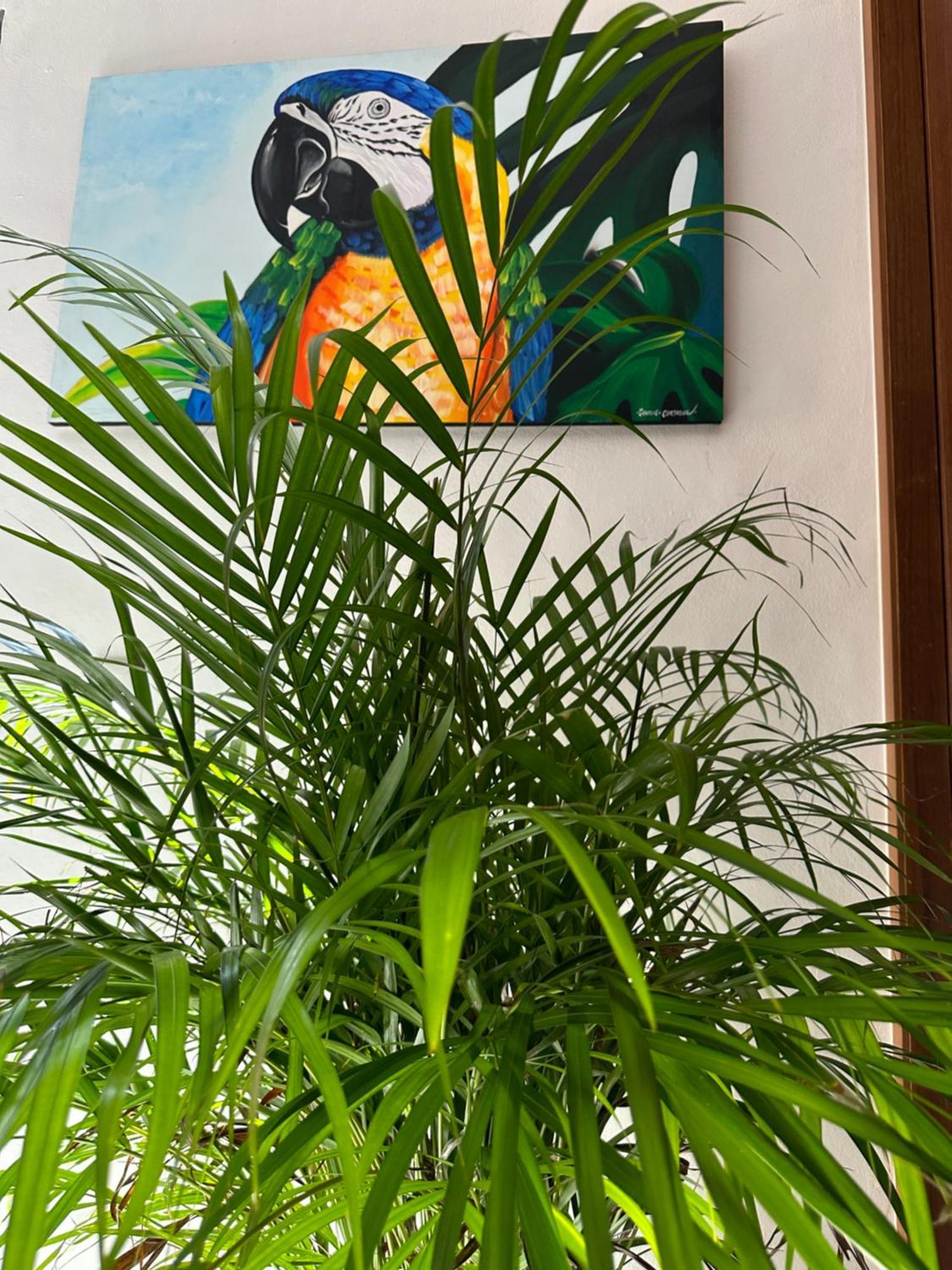 Oasis Urban Retreat Apartamento