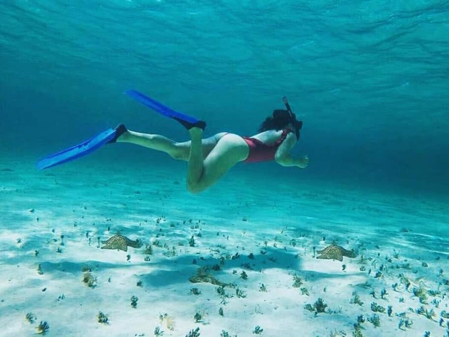 Viento * Cancún