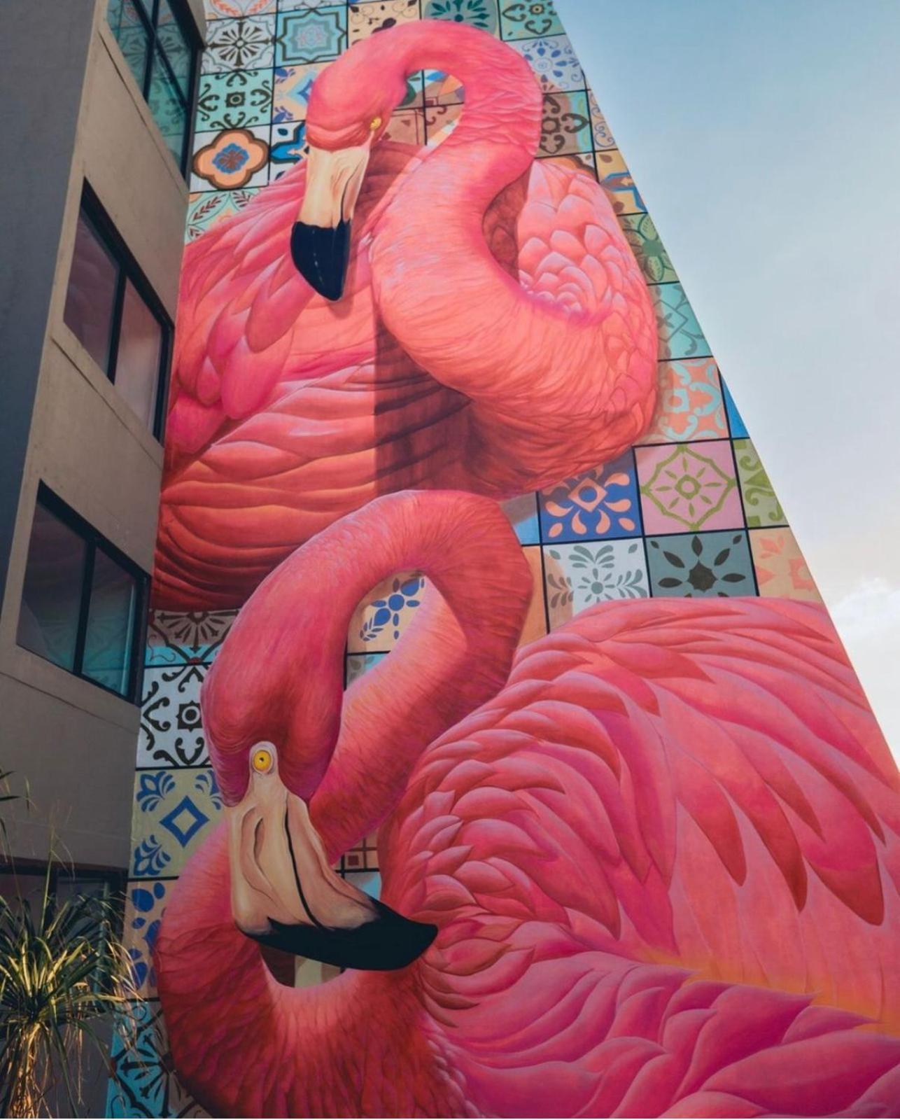 Flamingo Hotel 4*